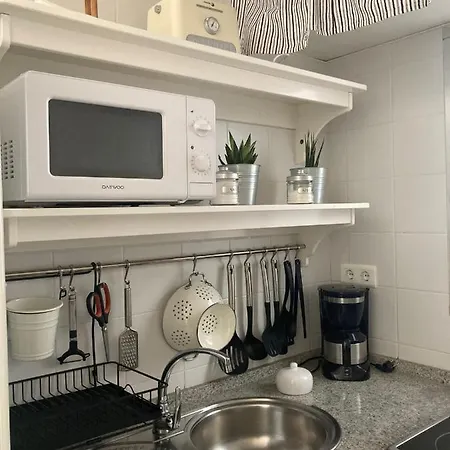 Dona Violeta * Cádiz